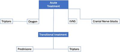 Cluster headache: state of the art in treatment